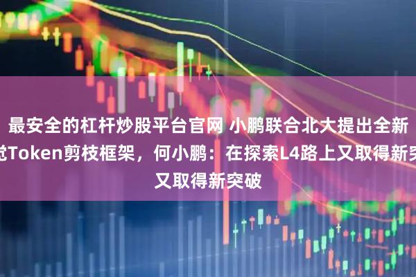 最安全的杠杆炒股平台官网 小鹏联合北大提出全新视觉Token剪枝框架，何小鹏：在探索L4路上又取得新突破