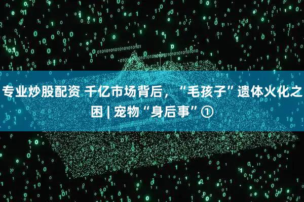 专业炒股配资 千亿市场背后，“毛孩子”遗体火化之困 | 宠物“身后事”①