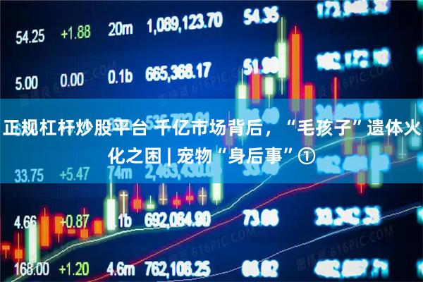 正规杠杆炒股平台 千亿市场背后，“毛孩子”遗体火化之困 | 宠物“身后事”①
